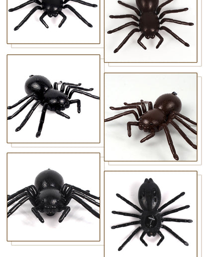 Lifelike RC Spider Buddy Toy